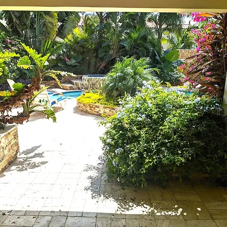 Adorable 1-Bedroom-Apartment 2 Km From Eagle Beach